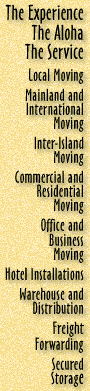 Services Offered